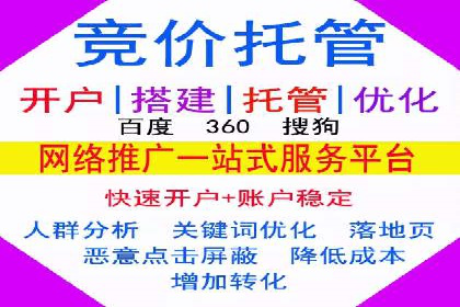 解析sem代运营公司经典案例：如何实现ROI最大化